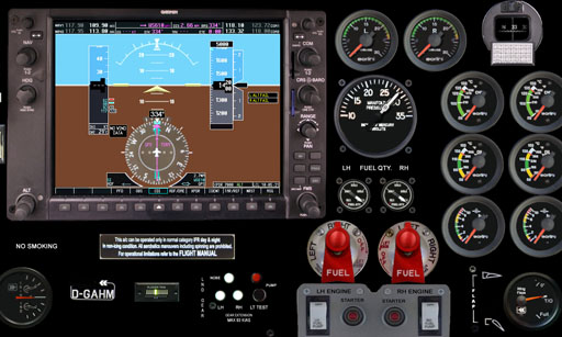 Cockpit Twin P2006 mit Garmin 950
